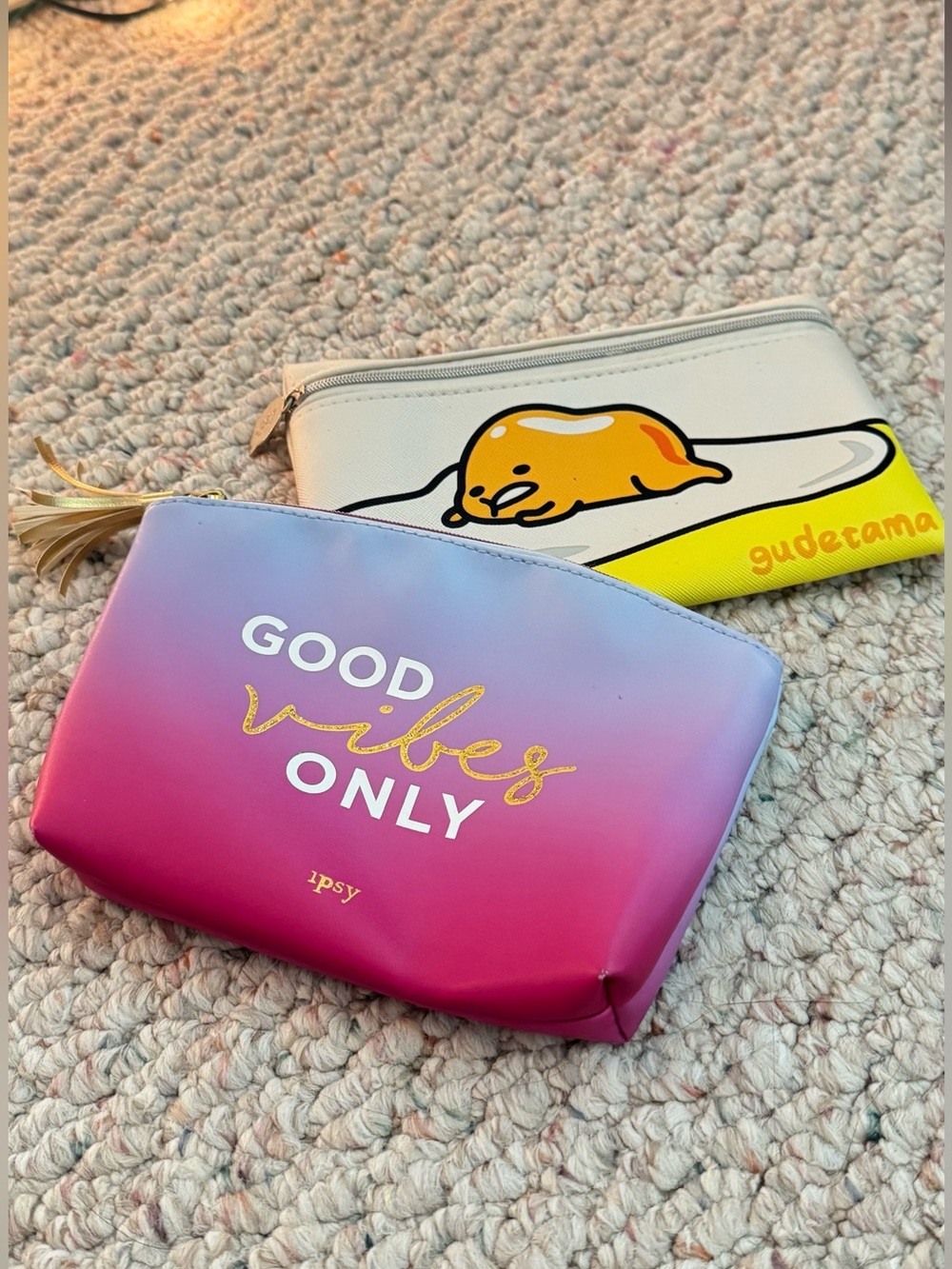 2 Ipsy Makeup Bags